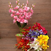 ����� ��������� 5����� 65��. (�088) 8�����