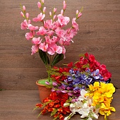 ����� ��������� 5����� 65��. (�088) 8�����