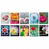 ������� 32�. �6  "����� �������"