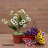 ����� ���������� 6����� 30��. 7�����