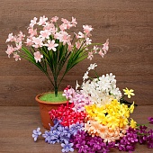 ����� ��������� 11����� 60��.