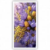 ������� ��� �����