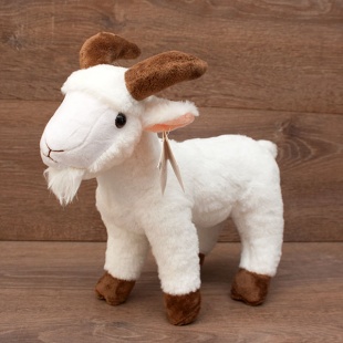 ������ �������  ������� 28��.