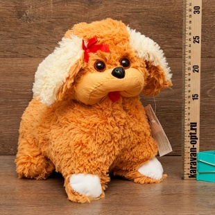 ������ ������� ������� �������� 27��.